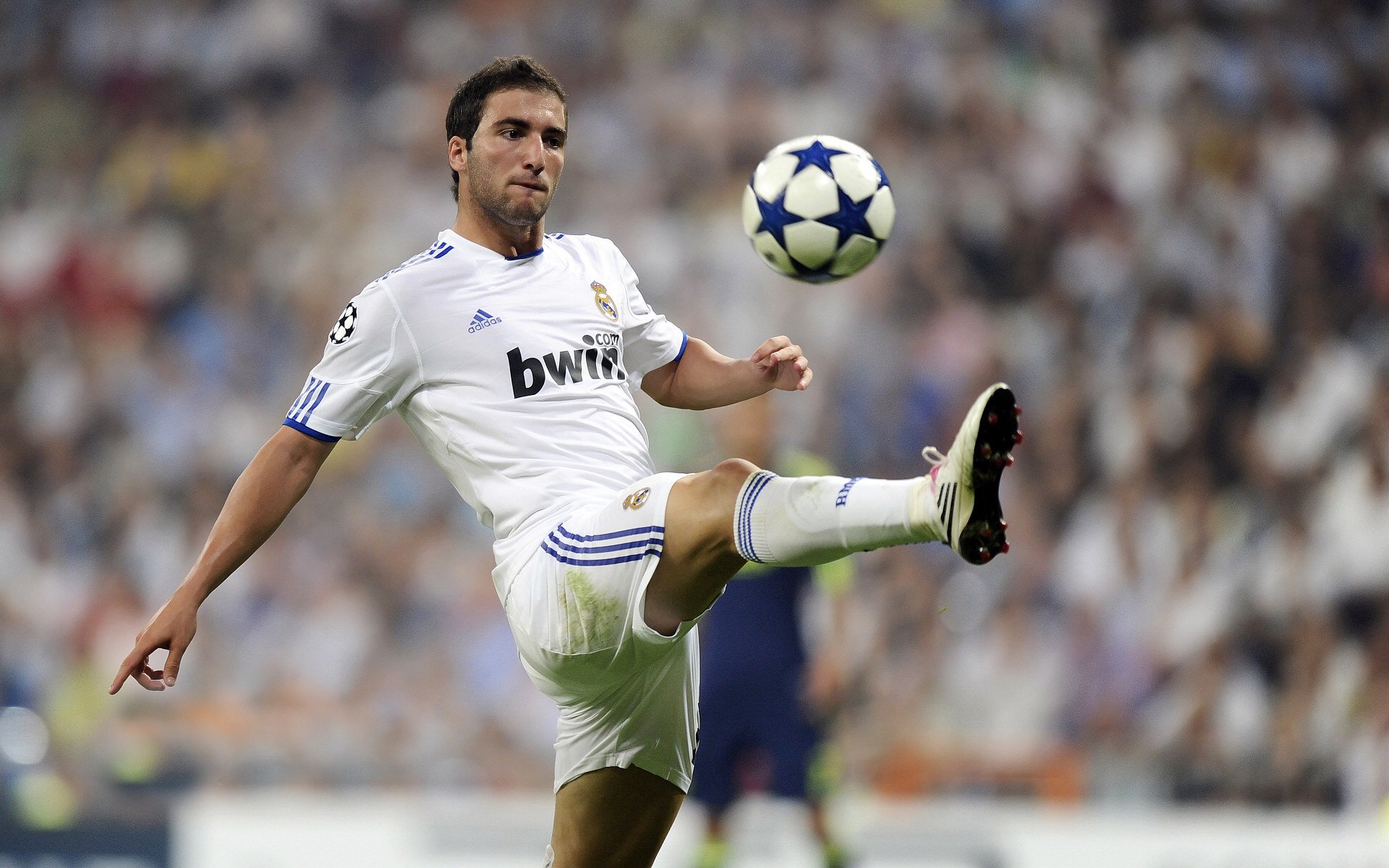 车队管理层访谈：打造冠军的秘诀，车队管理是什么意思