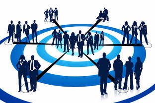 体育新闻中心构建跨平台体育评论系统内容共管机制，体育互联网平台格局